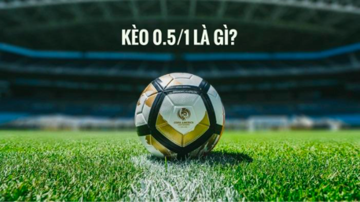 Những khái niệm cơ bản về kèo bóng 0 5/1 Những khái niệm cơ bản về kèo bóng 0 5/1