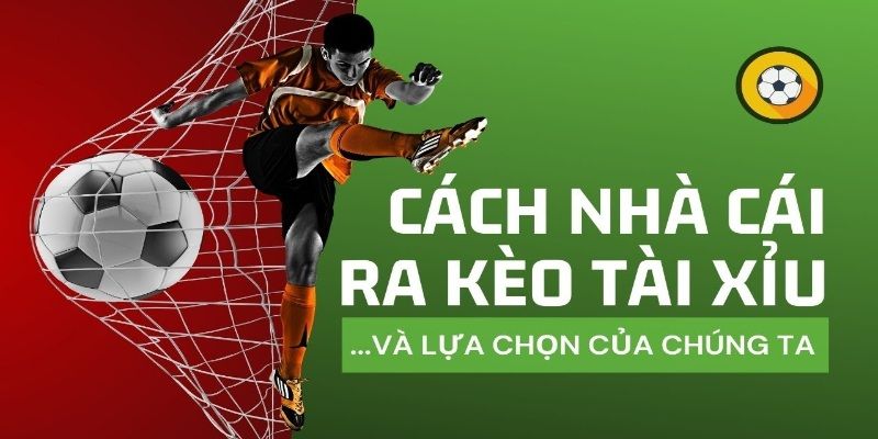 Chuyên gia chia sẻ về cách đánh tài xỉu bóng đá luôn thắng