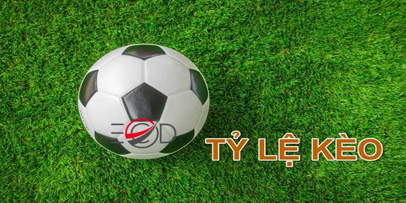 Học hỏi kinh nghiệm của các dân chơi cá cược bóng đá chuyên nghiệp là điều quan trọng Học hỏi kinh nghiệm của các dân chơi cá cược bóng đá chuyên nghiệp là điều quan trọng
