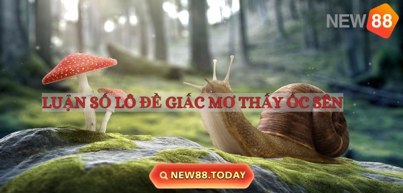 Luận số chi tiết khi mơ thấy ốc sên Luận số chi tiết khi mơ thấy ốc sên