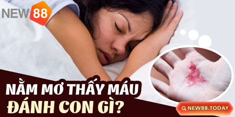 Luận số lô đề khi nằm mơ thấy máu Luận số lô đề khi nằm mơ thấy máu