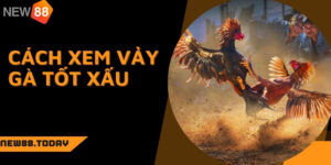 Kinh nghiệm tránh những vảy gà xấu